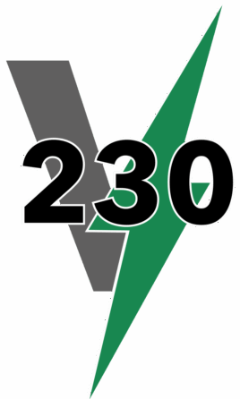 230blixt vitbg ram (2)